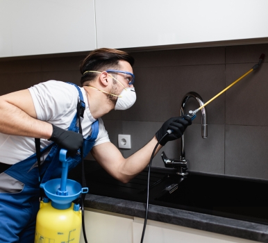 Chris Pest Control Sandhurst Milestone