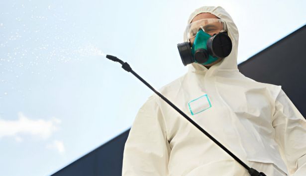 Pest Control Sandhurst